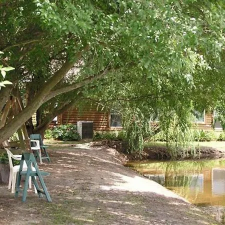 Shalom House Bed And Breakfast-3